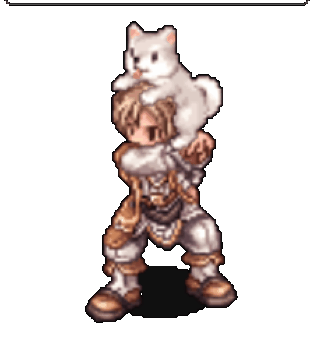 Kishu Dog