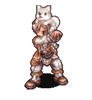 Kishu on Head