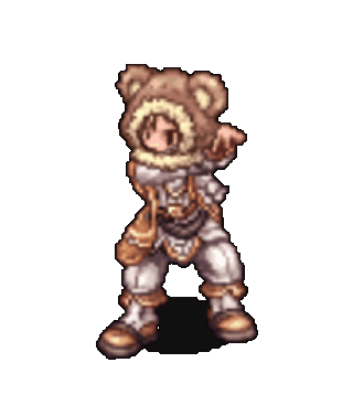 Teddy Bear Hood