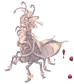 Silent Maya